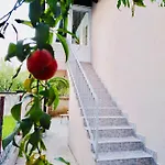 Apartman Han *