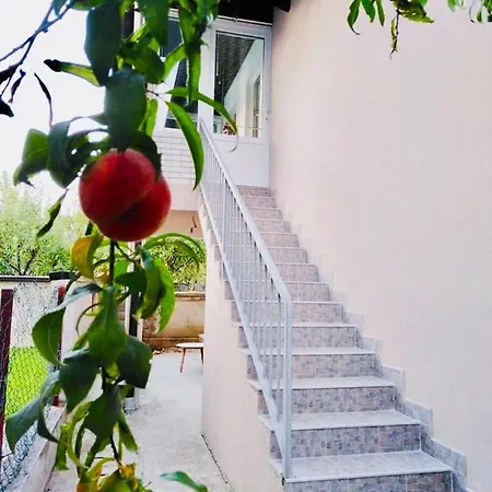 Apartman Han *
